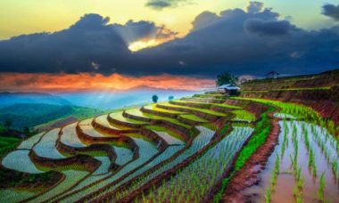 Rice paddies ancient field japan thailand getty terraced chiangmai mesmerising