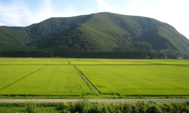 Paddy japan fukushima prefecture paddies near inawashiro lake fields agriculture ken britannica