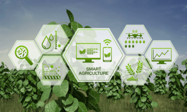 Iot agriculture transforming