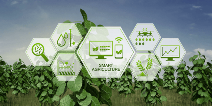 Iot agriculture transforming