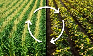 Rotation farmers nutrient